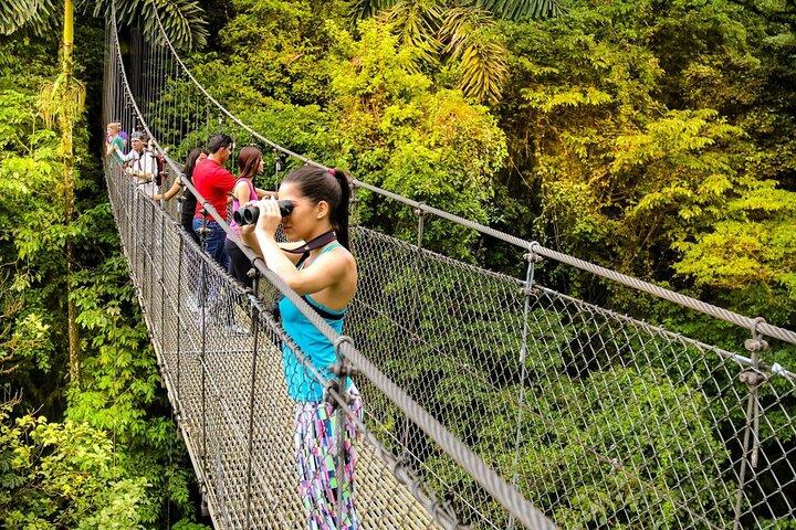 Arenal Hanging Bridges, Volcano Hike & Hotsprings Tour with Lunch