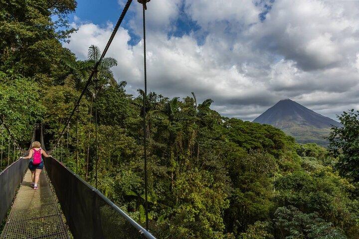 Arenal Hanging Bridges, Volcano Hike & Hotsprings Tour with Lunch