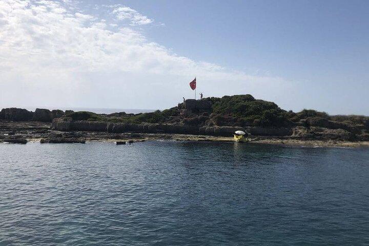 Side: Dolphin Island Boat Tour with Foam Party and Lunch