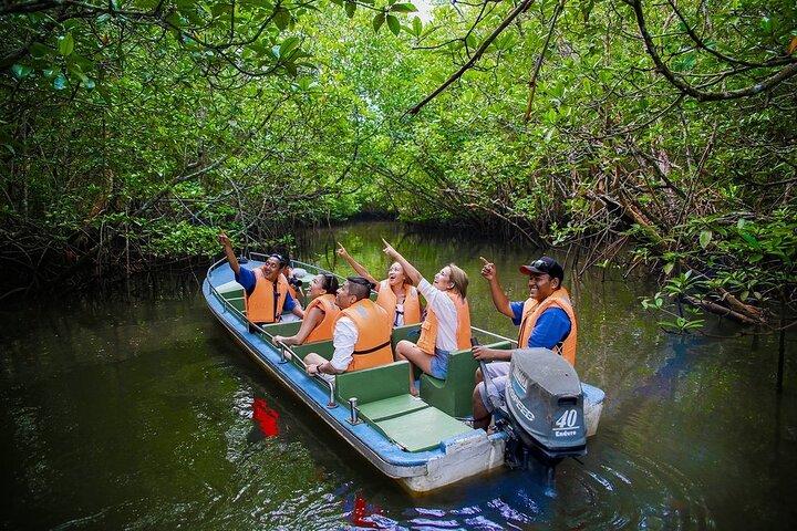 Mangroves of Madu Ganga Boat Tour (Private & All-Inclusive)