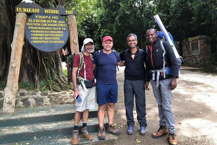 6 Hours Kilimanjaro Day Hike to Mandara Hut and Maundi Crater