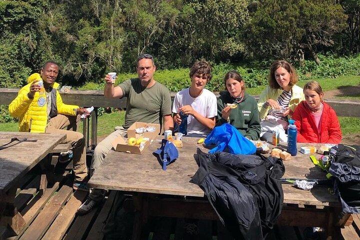 6 Hours Kilimanjaro Day Hike to Mandara Hut and Maundi Crater