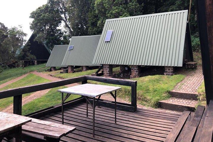 6 Hours Kilimanjaro Day Hike to Mandara Hut and Maundi Crater