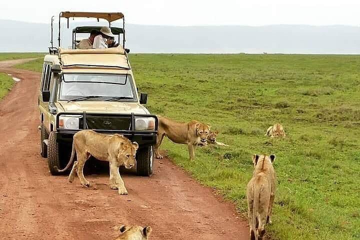A Day Trip To Masai Boma