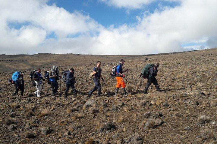 Climb Kilimanjaro - Lemosho Route 7 Day Climb