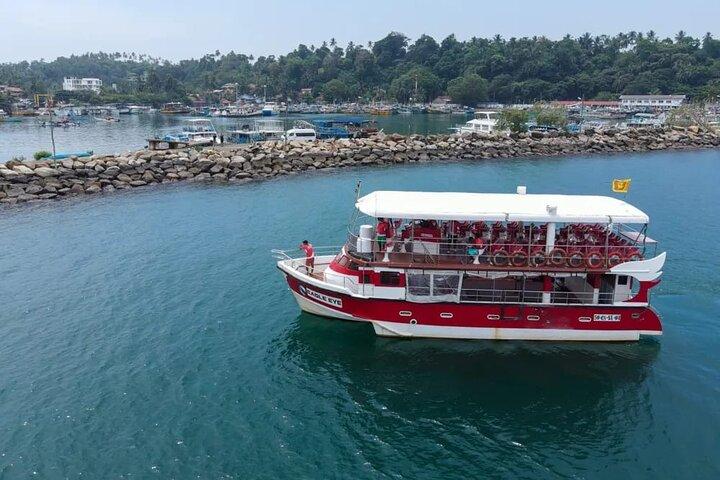 Bespoke Whale Watching Cruise to witness finned giants – Mirissa