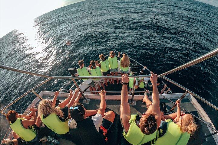 Bespoke Whale Watching Cruise to witness finned giants – Mirissa