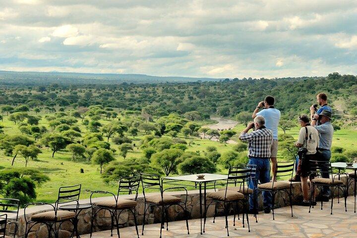 Tarangire Budget Full Day Tour from Arusha