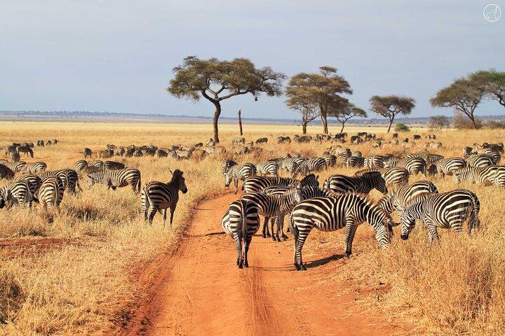 3 Days Serengeti and Ngorongoro Budget Tour