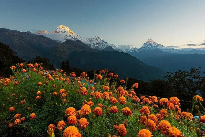 Pokhara: Unforgettable Pokhara to Annapurna Foothills Day Hike