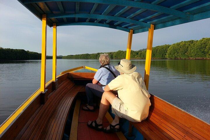 Proboscis Monkey and Firefly Tour (Private)