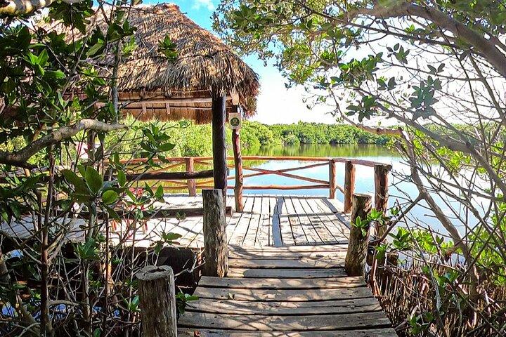 Full-Day Isla Contoy Sailing Nature Experience in Mujeres