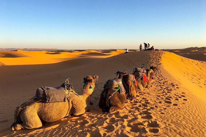 2 Days/1 Night Sahara Desert Trip: Fes - Merzouga - Fes