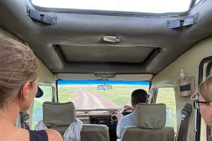 4 Days Luxury Lodge Safari To Tarangire, Serengeti & Ngorongoro Crater.