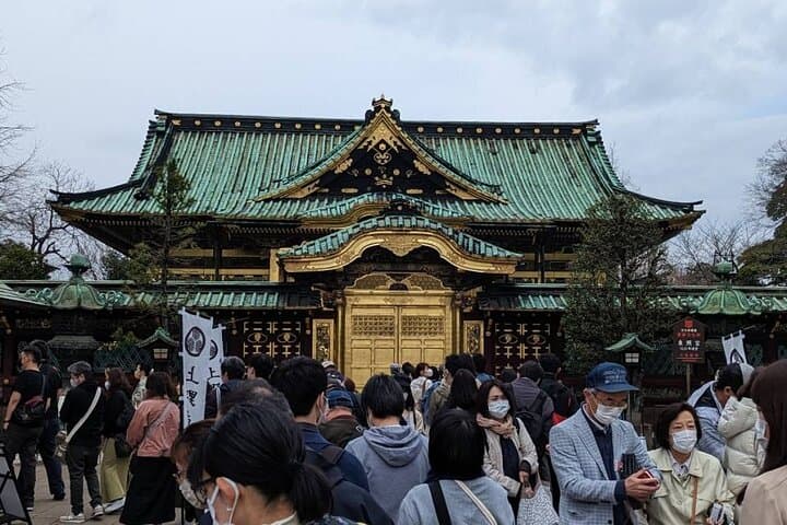 Private Day Tour In Tokyo with a Native English Speaker