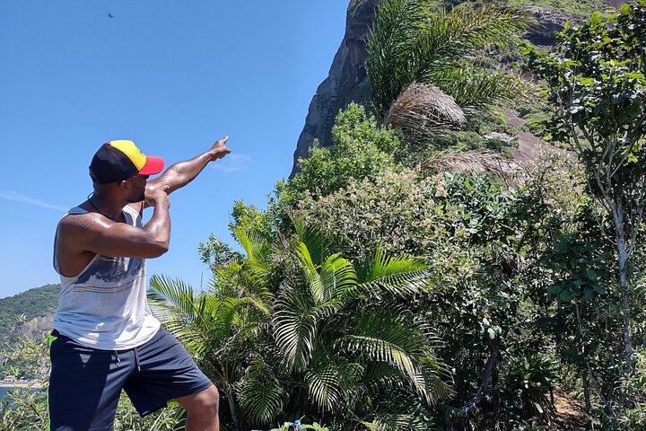 Sugarloaf mountain Hiking & Climbing