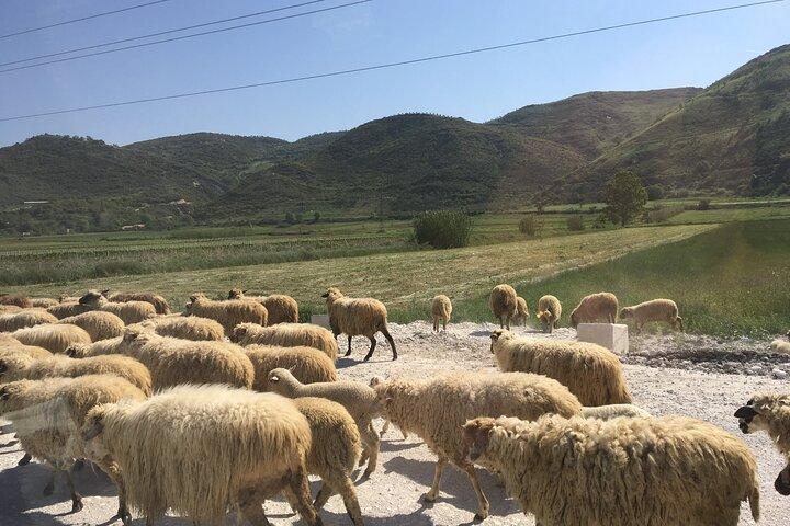 Outdoor Experience in Amantia Archeological Park & Brataj Bidge