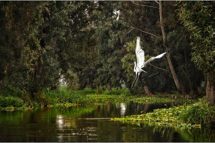 3 Hours of Kayaking at the Ancient Canals of Xochimilco