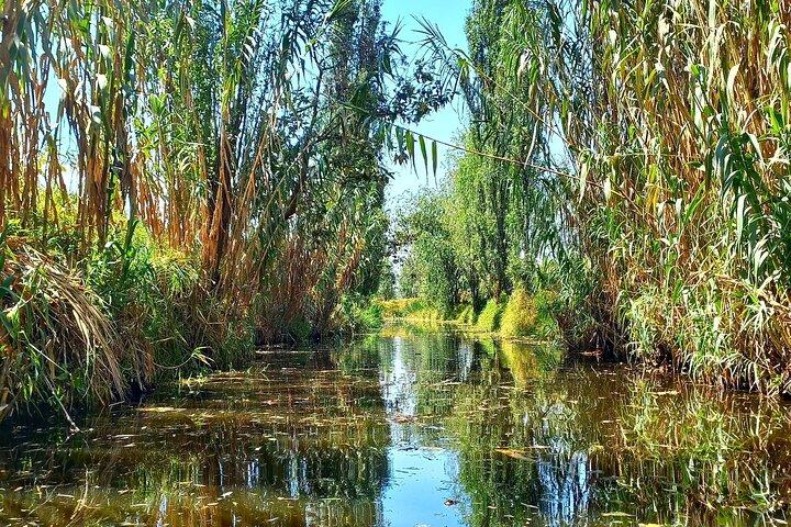 3 Hours of Kayaking at the Ancient Canals of Xochimilco
