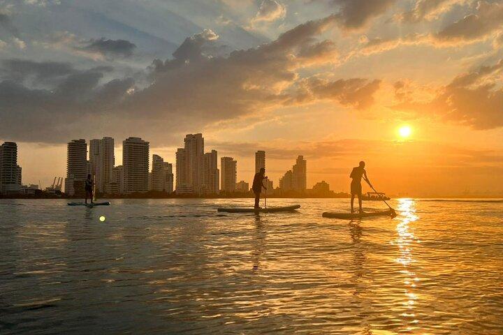 Miami Beach: Illuminated Sunset Paddleboard Tour