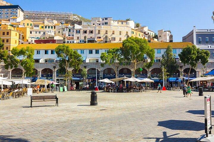 Excursion to Gibraltar with Rock Tour From Malaga