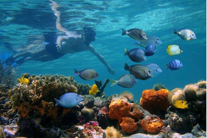 Negril Glass Bottom Boat Tour Snorkeling and Booby Cay