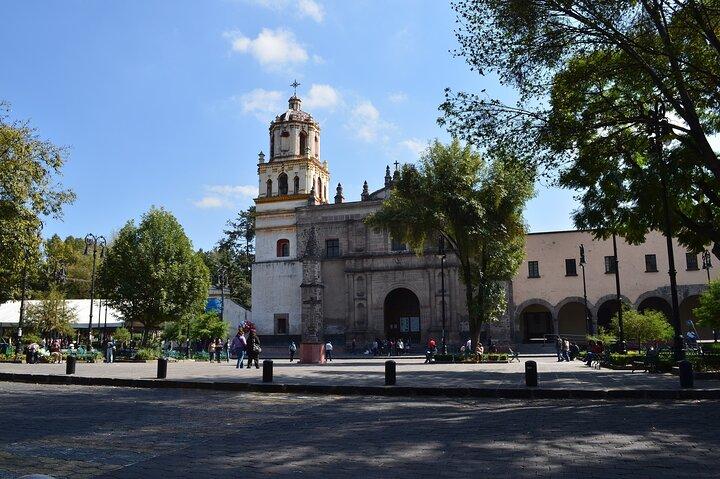 Private Direct Transfer From Acapulco to Mexico City