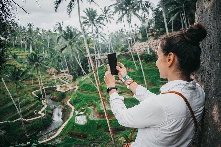Ubud Private Tour: Tirta Empul, Rice Terrace & Monkey Forest