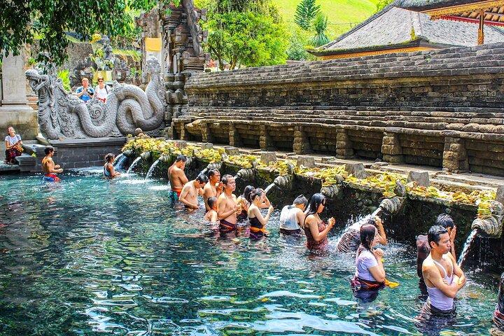 Ubud Private Tour: Tirta Empul, Rice Terrace & Monkey Forest