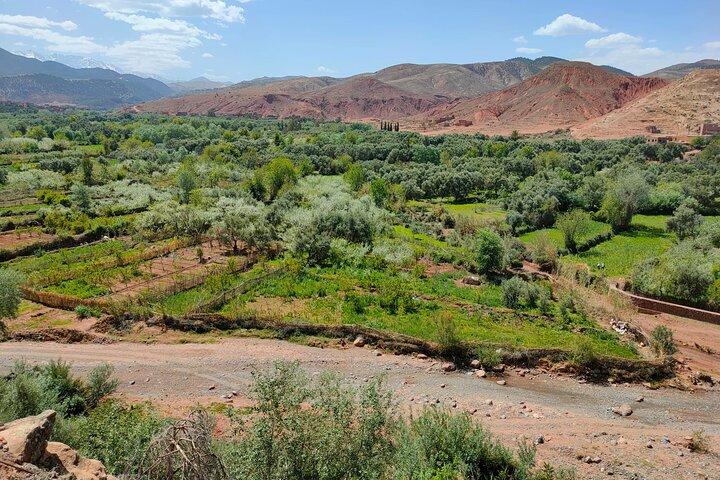 Atlas Mountains Journey, Camel Ride, Berber Villages & Waterfalls