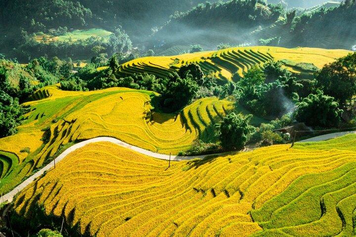 5-Day North Vietnam: Hanoi -Halong Bay -Ninh Binh-Sapa from Hanoi