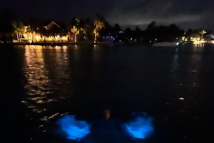 Private: Bioluminescence Tour