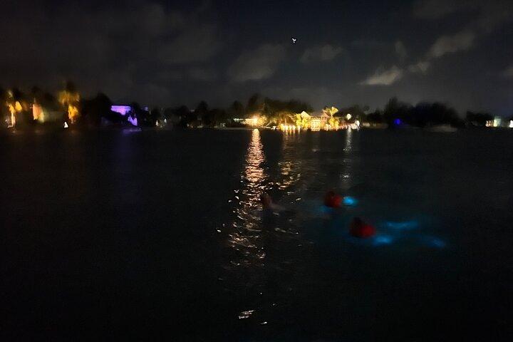 Private: Bioluminescence Tour