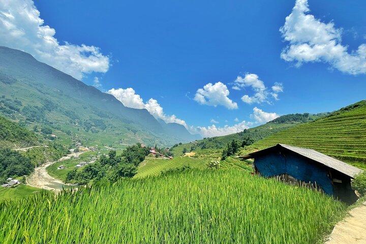 Private Trekking through Terraces Rice Fields in Sapa