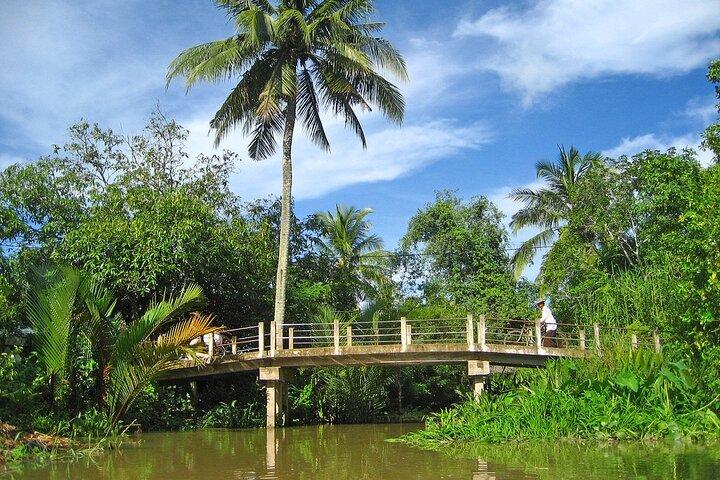Full Day Deluxe Small Group Tour to Mekong Delta