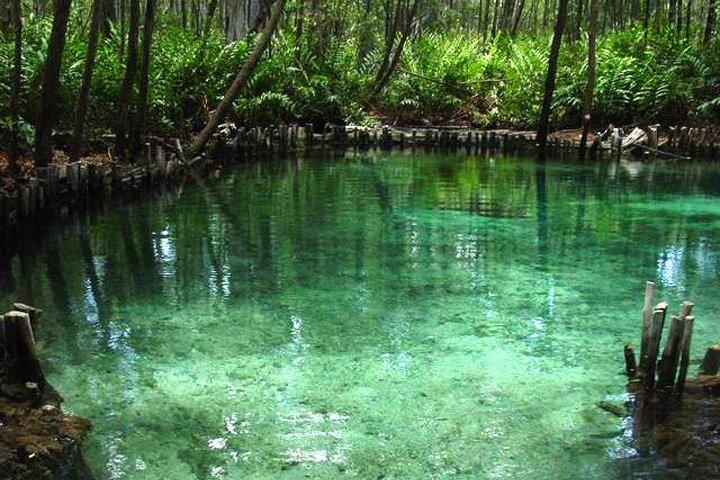 Boat Trip to the Biosphere Reserve in Celestún from Mérida