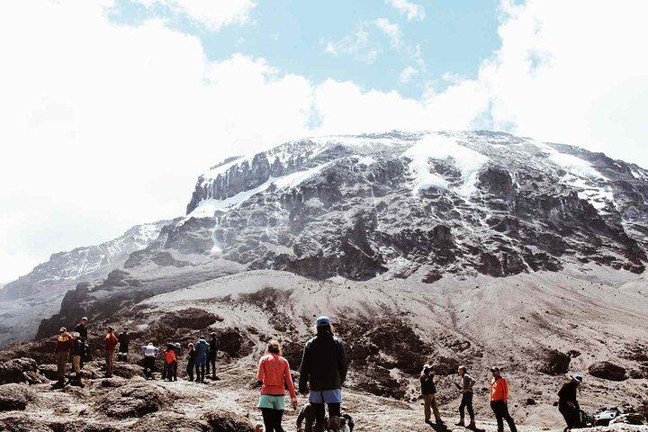 Private Full Day Tour to Kilimanjaro National Park