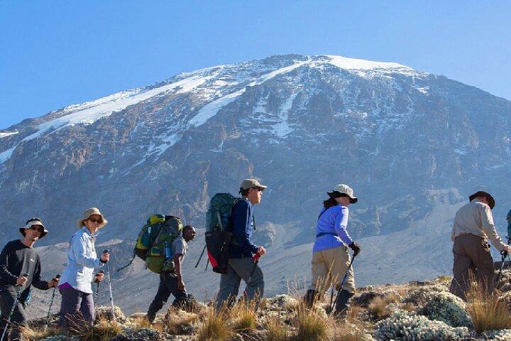 Private Full Day Tour to Kilimanjaro National Park