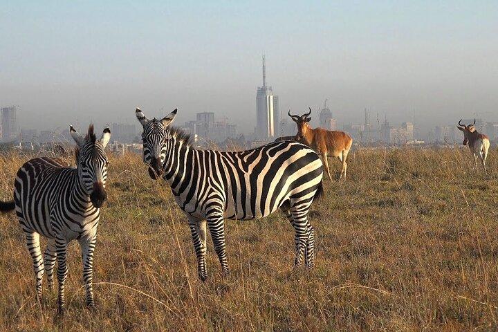 Private Tour to Nairobi National Park and the Karen Blixen Museum