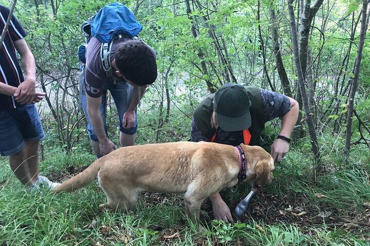 Private Truffle Hunting in Slovenia with meal - Zdenko Tartufi