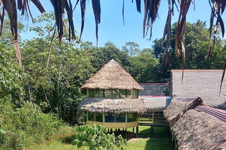 Jungle Explorer Tour 5 days 4 nights