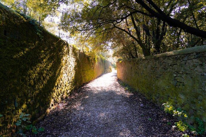 Fiesole Hike & Italian Aperitivo