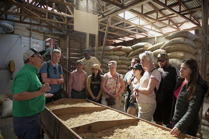 Coffee Farm Experience & visit Poas Volcano crater from San José