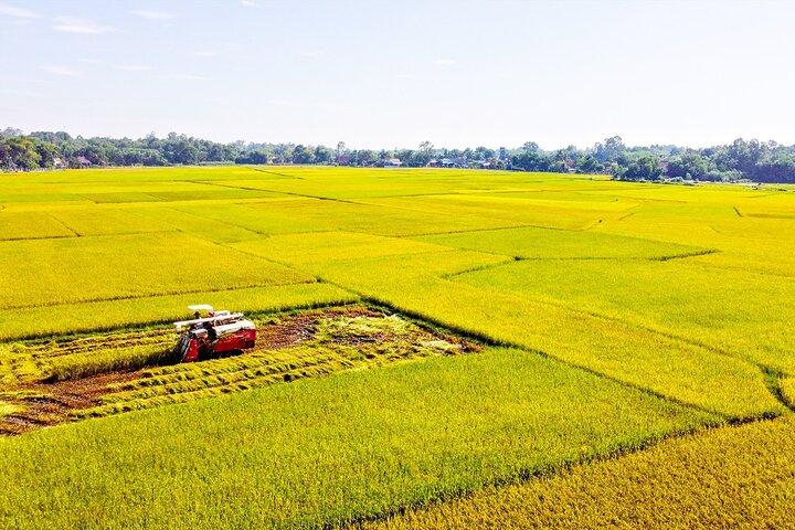 Standard 1 Day Cu Chi Tunnels & Mekong Delta