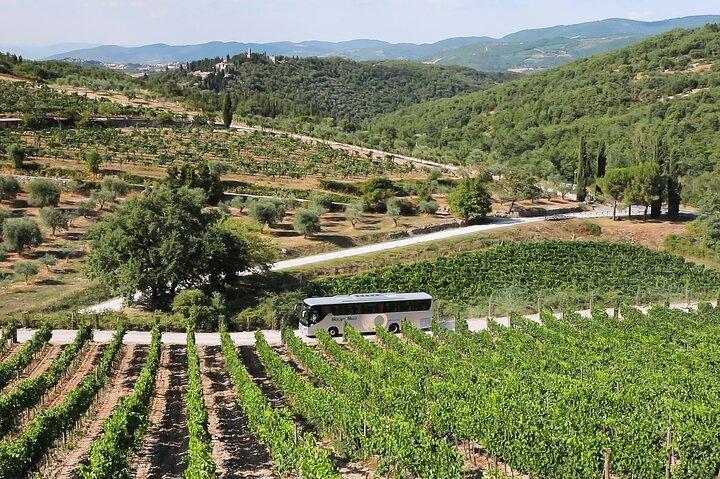 Chianti Wine Tour: Two Wine Tastings, Vineyards and Cellar Visit