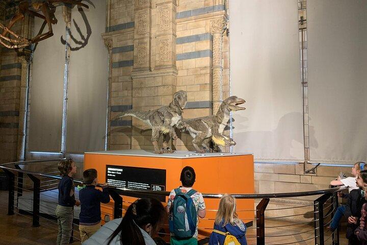Private Guided Tour of Natural History Museum - Skip the Line