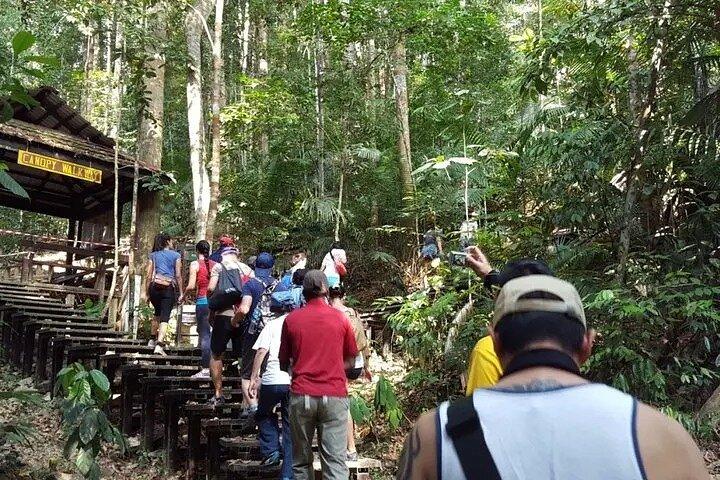 Kuala Lumpur to Taman Negara Shuttle