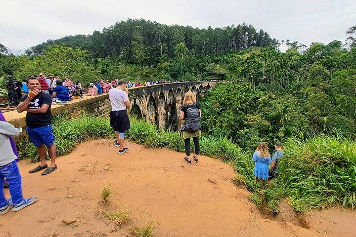 Best of Ella - Full Day, Private & Customize Tour
