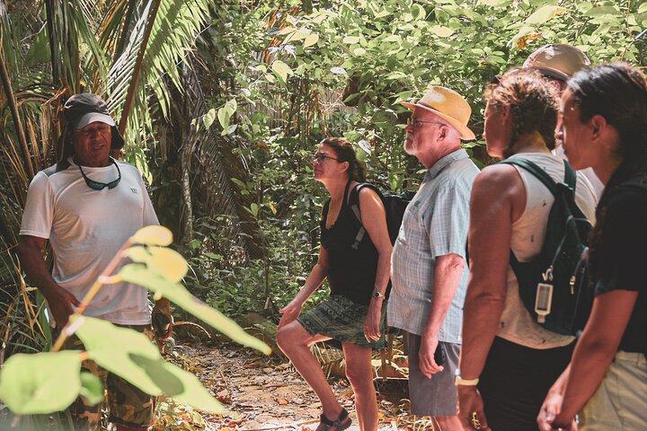Monkey River Jungle Wildlife Encounters and Manatee Watch