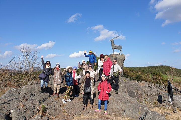 Jeju island Private UNESCO day Tour - For Cruise customer